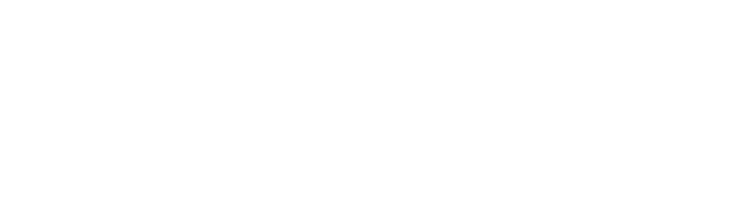 NERAM Global